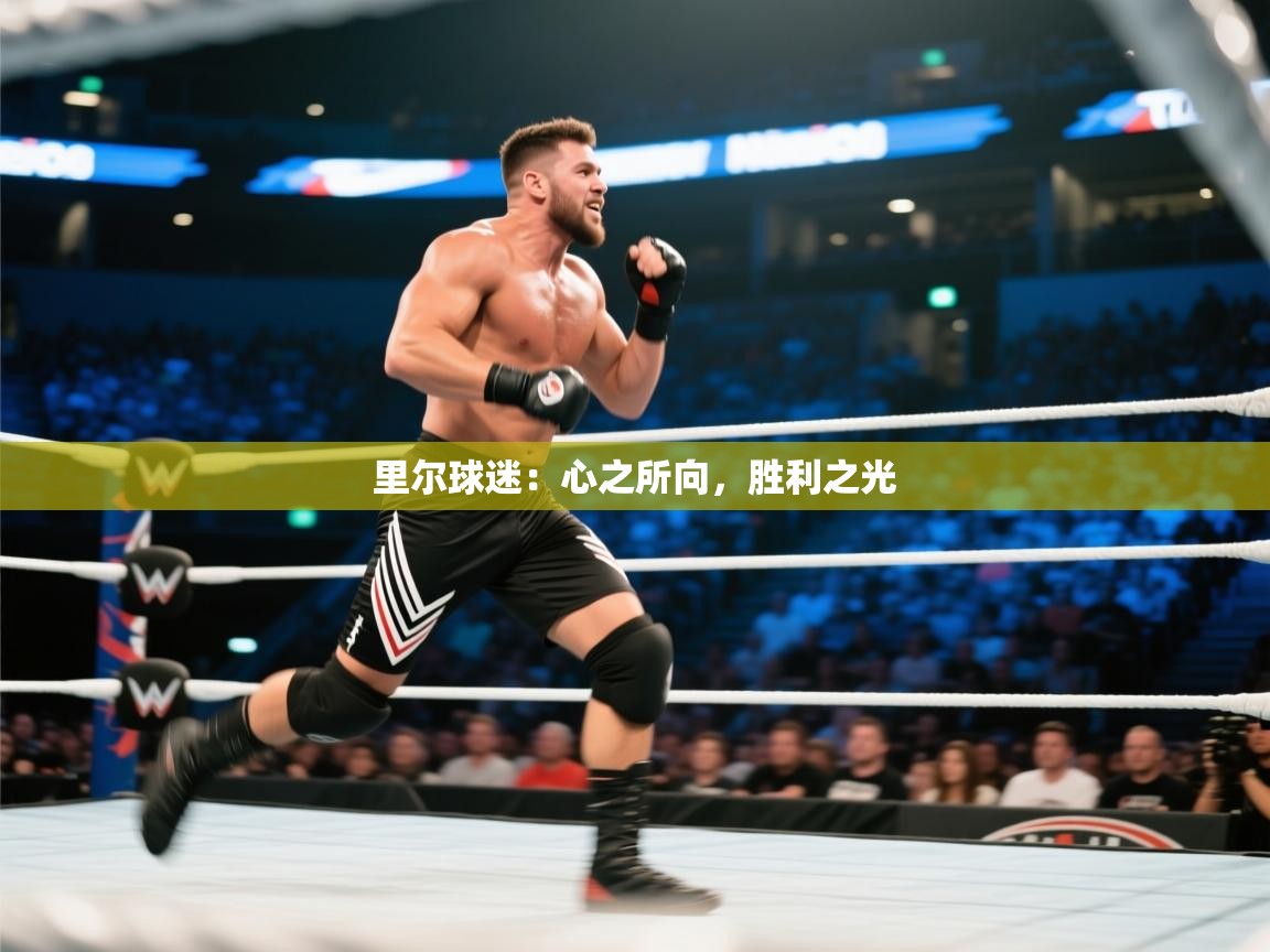 里尔球迷：心之所向，胜利之光  第1张