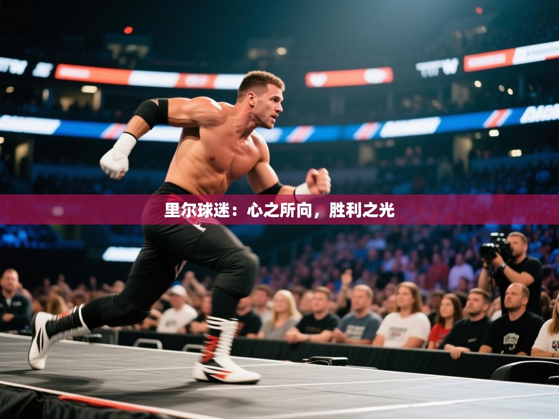 里尔球迷：心之所向，胜利之光  第2张