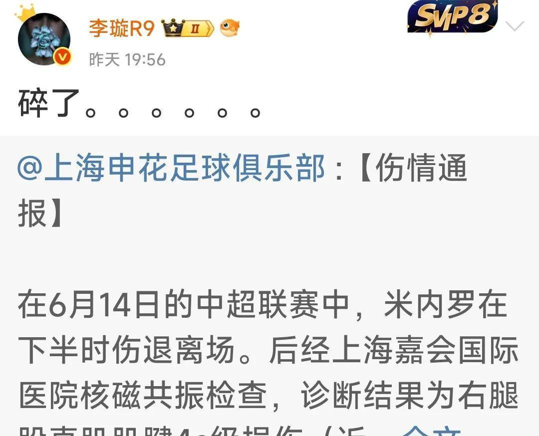 爱游戏体育-包含连伤两将!申花启动换外援刘诚宇顶上签克雷桑无稽之谈的词条